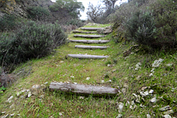 Lofou Walking Trail